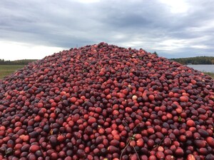 James Lake Farms