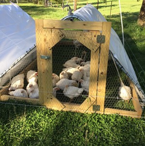 Micro Farm Organics