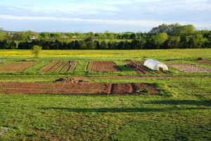 Honey Brook Farms