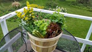 Grandma & Grandpa's Farm, LLC