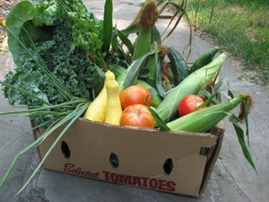 C&T Produce