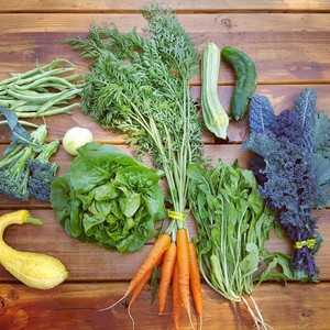 aslan's how organics