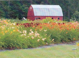 Milkcan Corner Farm