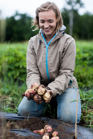 Bean Pole Farm