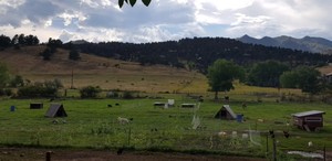 Serendipity Farmstead