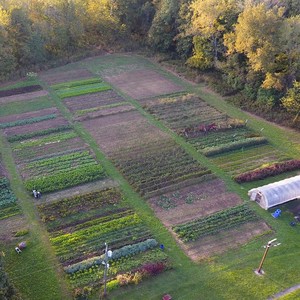 Dark Wood Farm