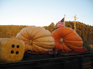 Farmer John's Pumpkin Farm