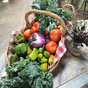 Cecil Creek Farm
