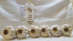 Lorz Italian Garlic