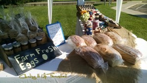 Clucking It Up Farmstead
