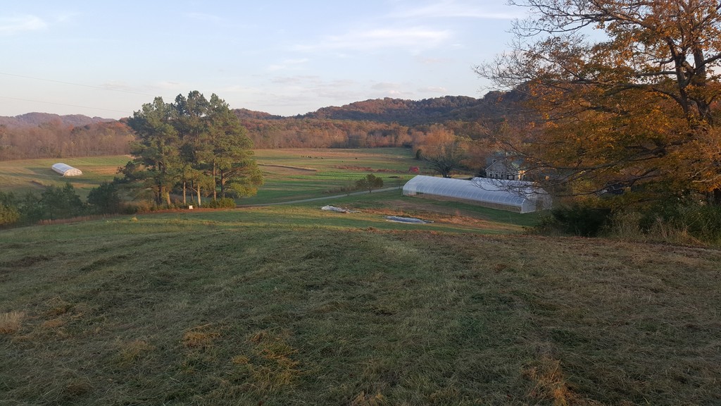 Rolling Fork Organic Farm LocalHarvest