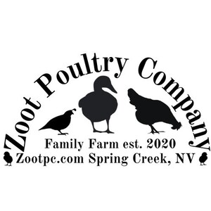 Zoot Poultry Company