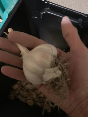 Johnson's Natural Harvest