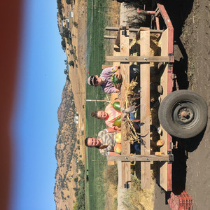 Brite Creek Farm