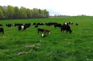 Oak Top Farm