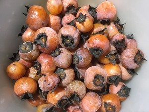 American Persimmon