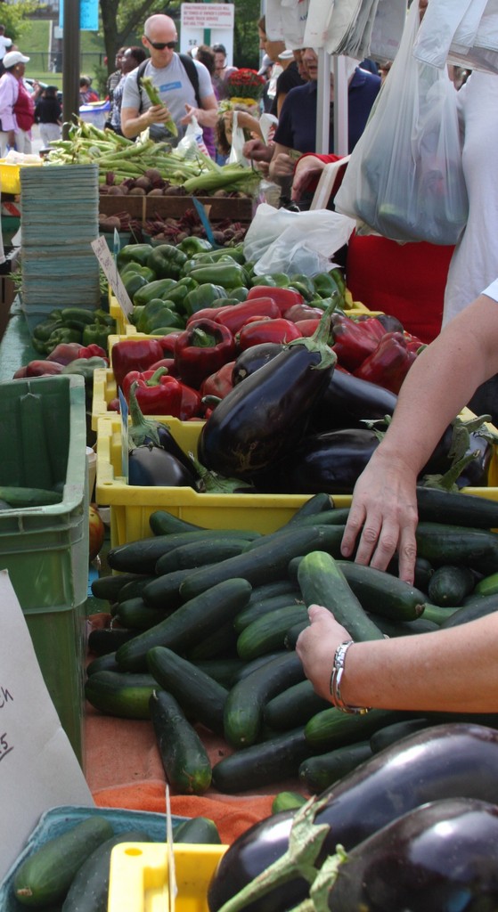 Local farm offers fresh produce picked the day you get it