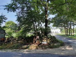 Bettencourt Farm