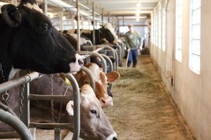 Brookby Farm Market