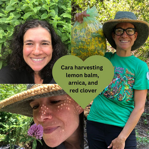 Bear Wallow Herbs