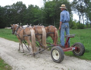 Foster Farm