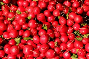 Catoosa Farmer's Market