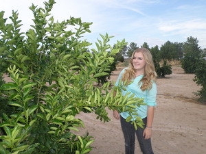 Hagen Farms