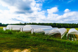 Neal Pope's Farm
