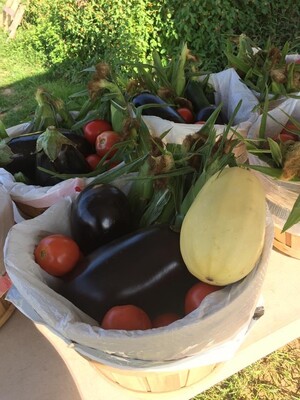 T&D Growers LLC