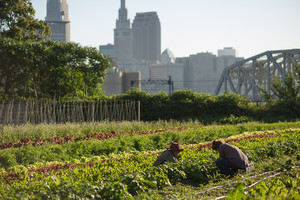 Ohio City Farm