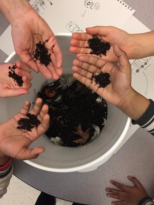 OffBeet Compost
