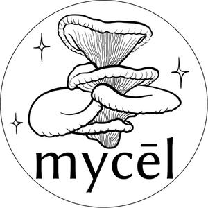 Mycel Mushrooms