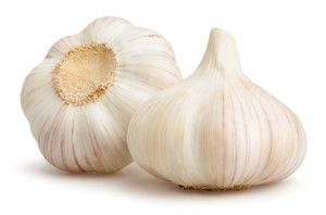 Vampire Hunters' Choice Garlic