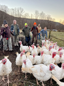 Sap Bush Hollow Farm, Cafe & CSA