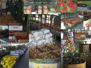 Lebanon Produce Auction