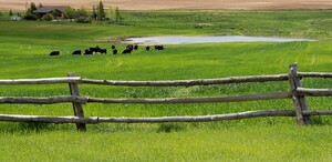 Bar H Cross Cattle Company