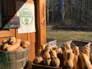 Wolf Pine Farm