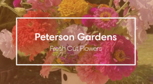 Peterson Gardens
