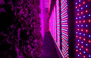 GetBlok Farms