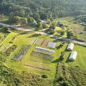 Spear Spring Farm