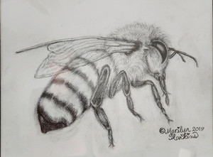 Bee Space Apiaries