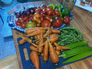 Perdue Farm