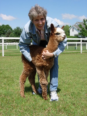 All Things Alpaca, LLC