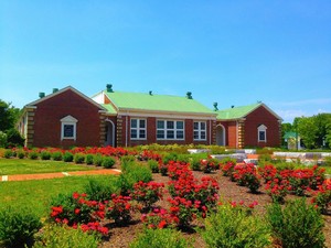 Montpelier Farmer's Market