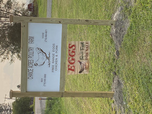 Chance acres poultry farm