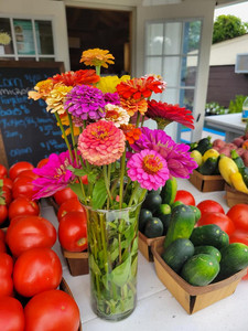 Christoff Flowers and CSAs