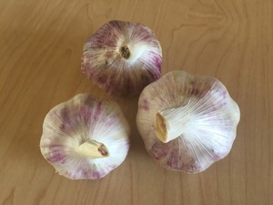 Inchelium Red Garlic