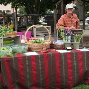 Resilient Farms