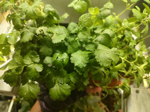 ColorBlindWork | People. Plants. Purpose.