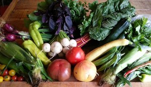Seedswell Vegetable Farm